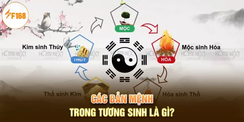 Các bản mệnh trong tương sinh là gì?