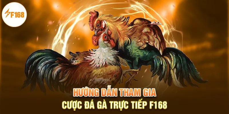 Hướng dẫn tham gia cược đá gà trực tiếp F168