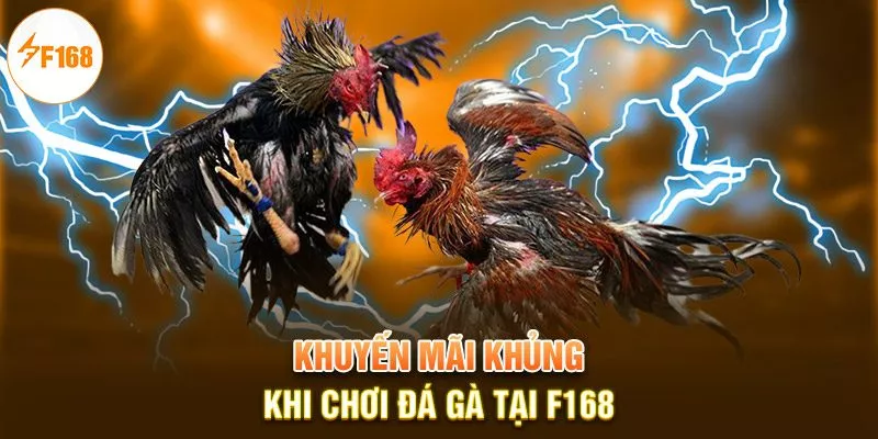 Khuyến mãi khủng khi chơi đá gà tại F168