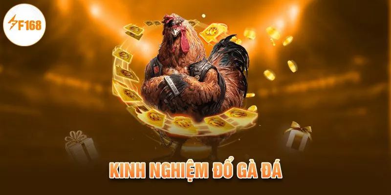 kinh nghiệm đổ gà đá